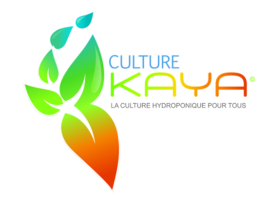Création de logo Troyes